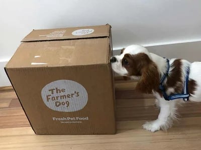 True The Farmers Dog Price: Fresh Food Costs Compared